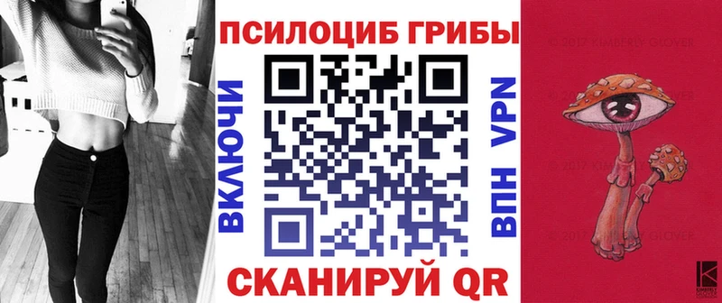 Галлюциногенные грибы Psilocybine cubensis Кондопога